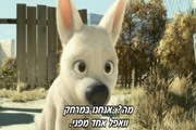 פאנדב בולט